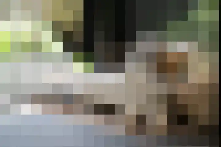 Grindweg 12 Rotterdam thumbnail 9