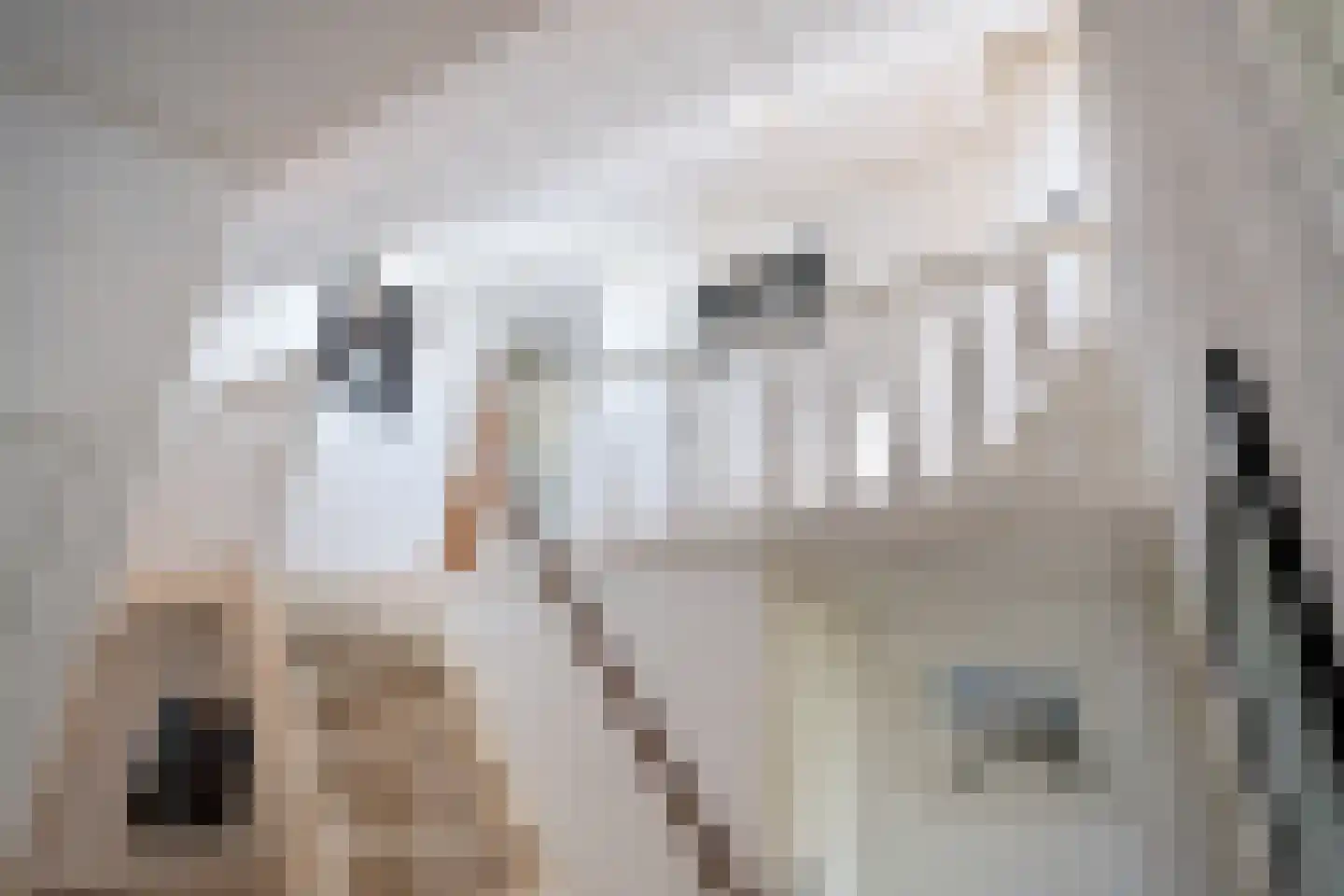 Grindweg 142 Munnekeburen thumbnail 41