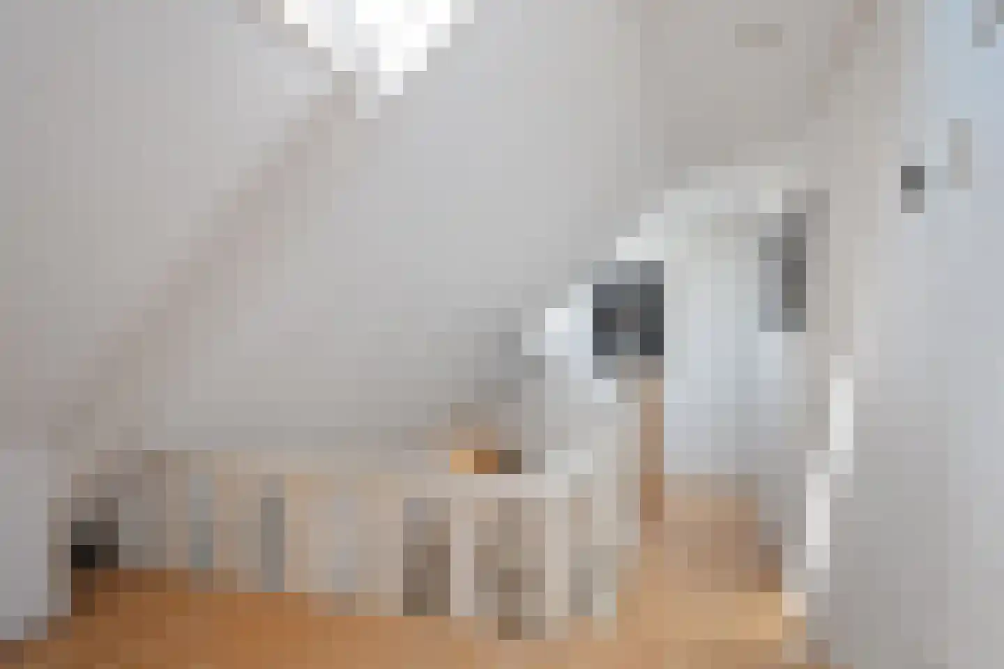 Grindweg 142 Munnekeburen thumbnail 53