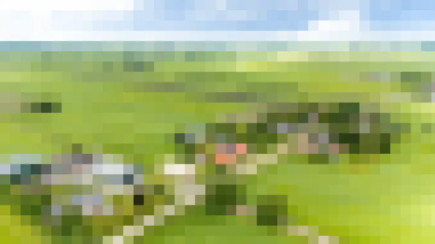 Grindweg 142 Munnekeburen thumbnail 64