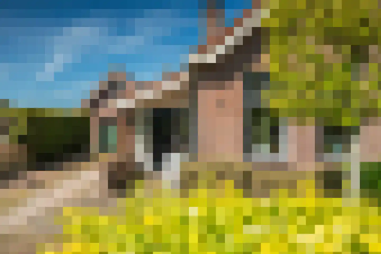 Grindweg 142 Munnekeburen thumbnail 9