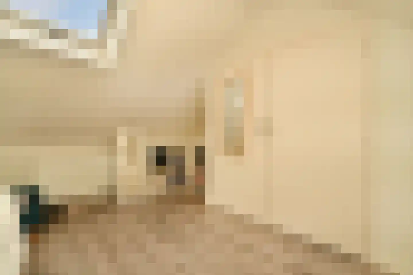 Grindweg 19 Tholen thumbnail 13