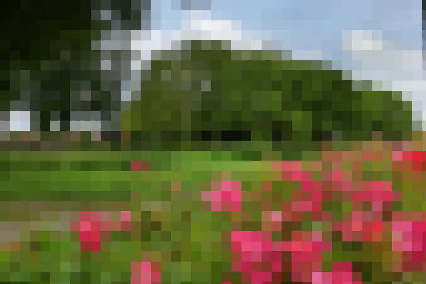 Grindweg 19 Tholen thumbnail 23