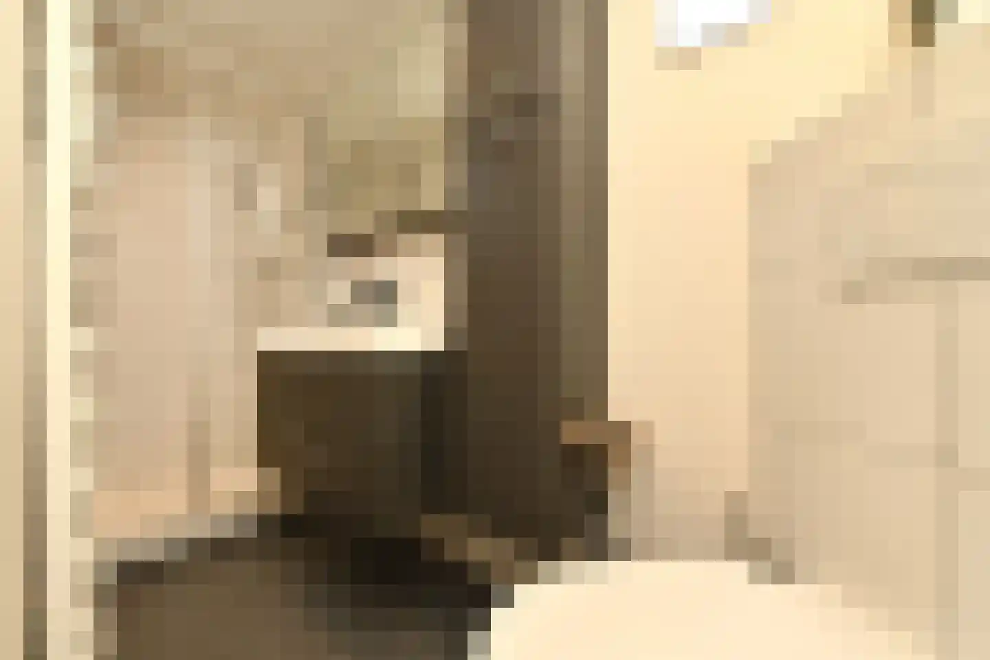 Grindweg 19 Tholen thumbnail 9