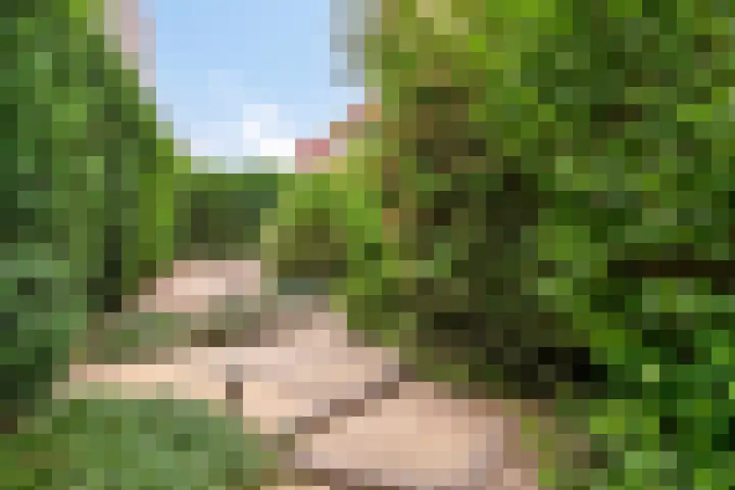 Grindweg 2 Rotterdam thumbnail 15