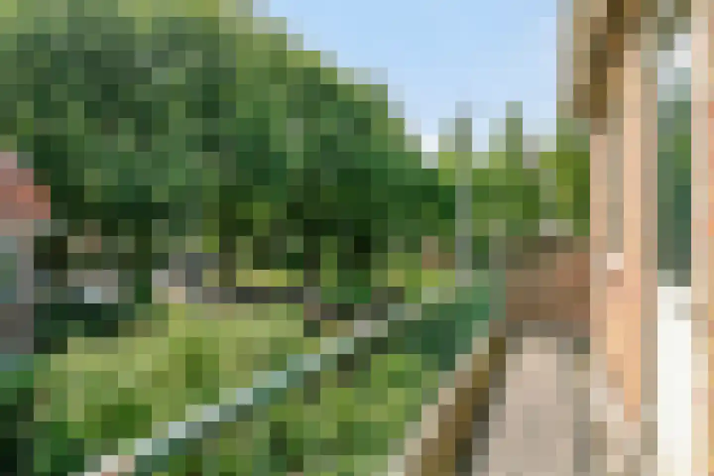 Grindweg 2 Rotterdam thumbnail 29