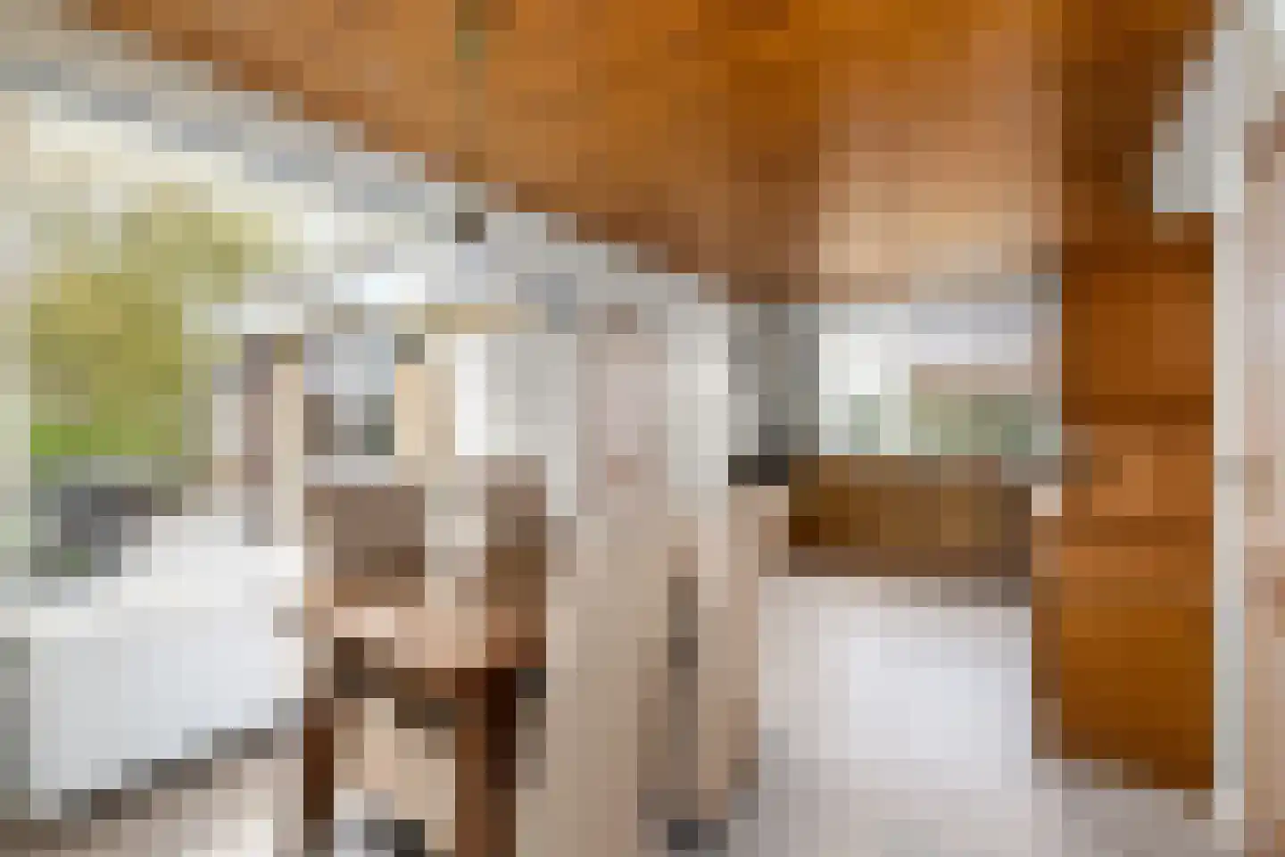 Grindweg 220 Scherpenzeel thumbnail 12