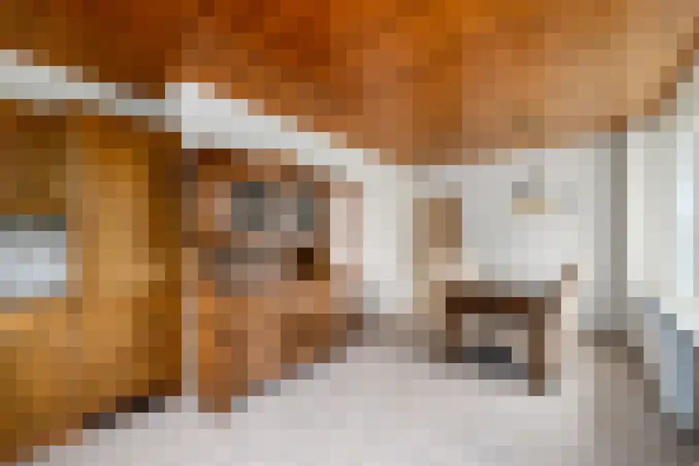 Grindweg 220 Scherpenzeel thumbnail 13