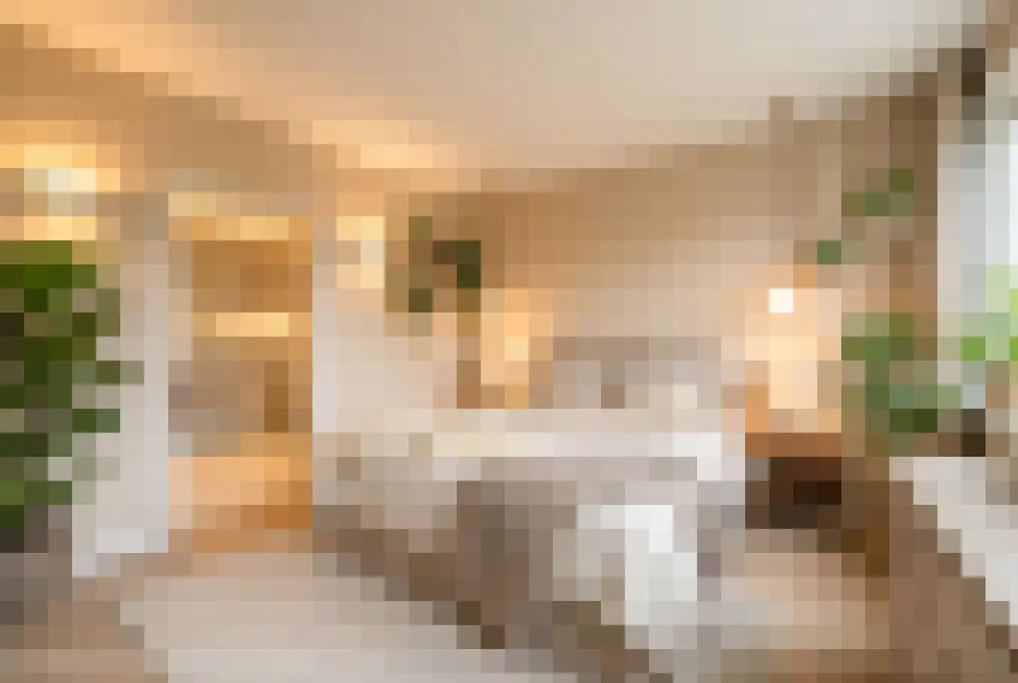 Grindweg 220 Scherpenzeel thumbnail 22