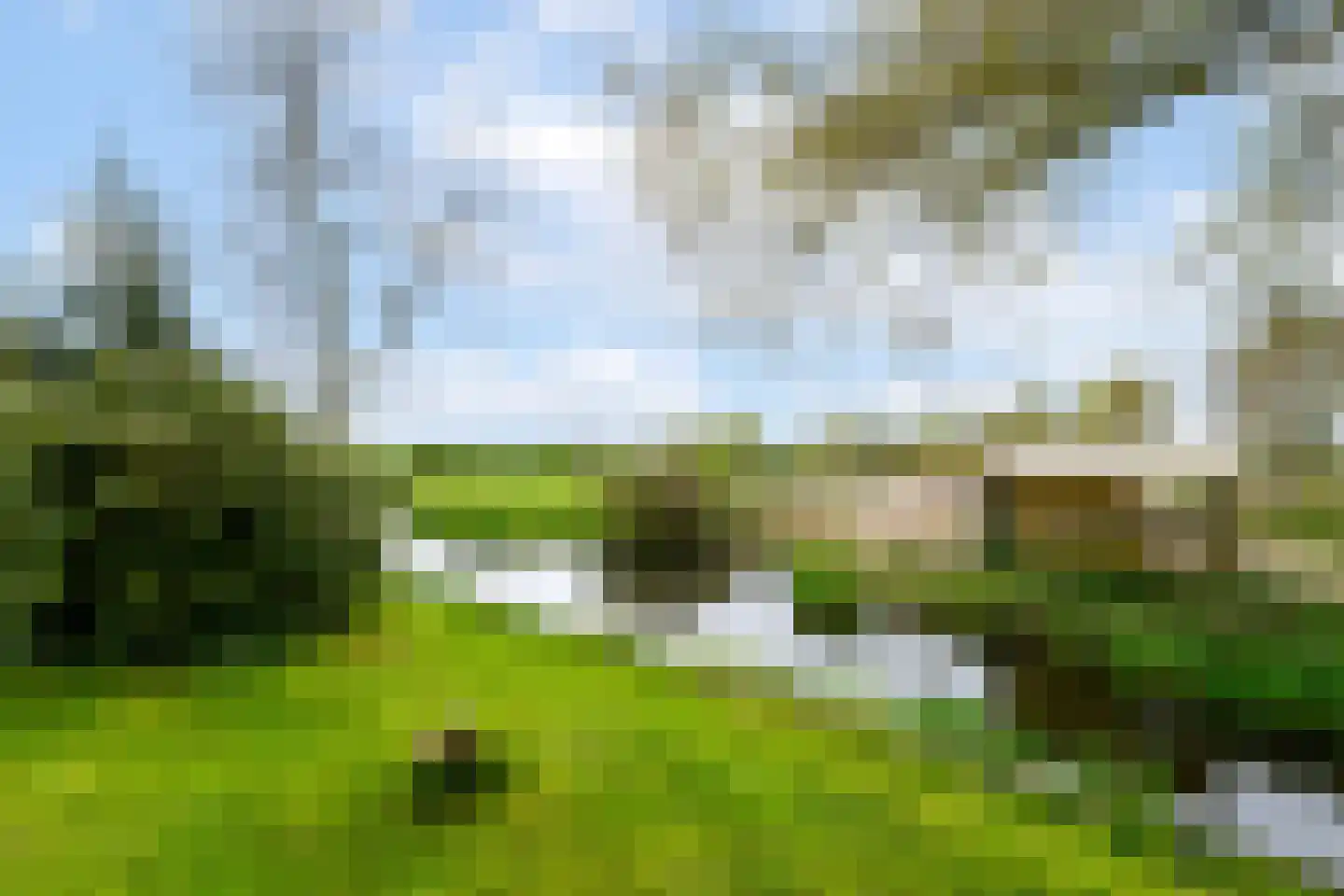 Grindweg 220 Scherpenzeel thumbnail 38