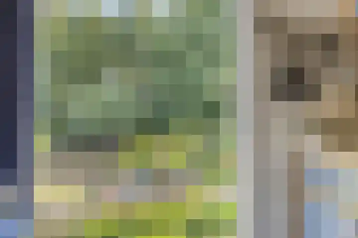 Grindweg 226 Scherpenzeel thumbnail 17