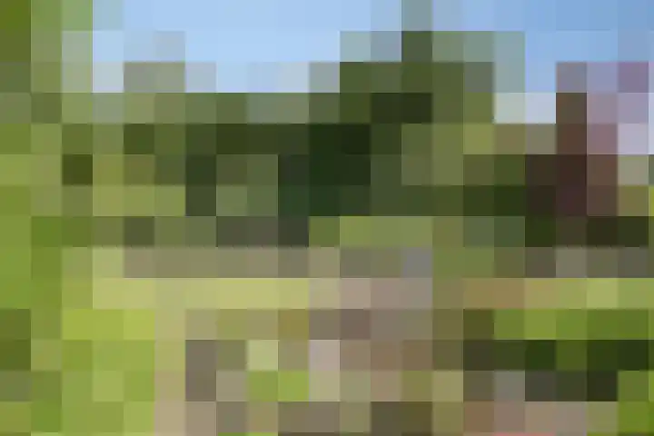 Grindweg 226 Scherpenzeel thumbnail 30