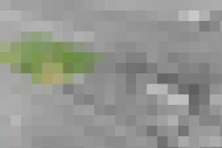 Grindweg 226 Scherpenzeel thumbnail 37
