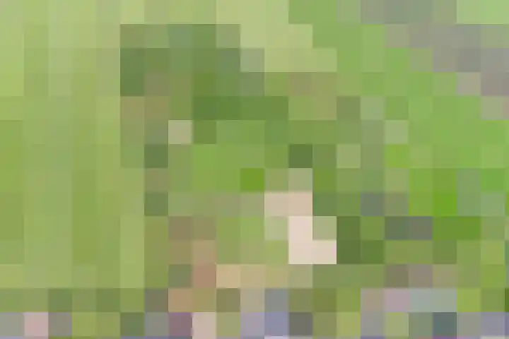Grindweg 226 Scherpenzeel thumbnail 38