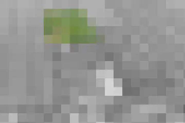 Grindweg 226 Scherpenzeel thumbnail 39