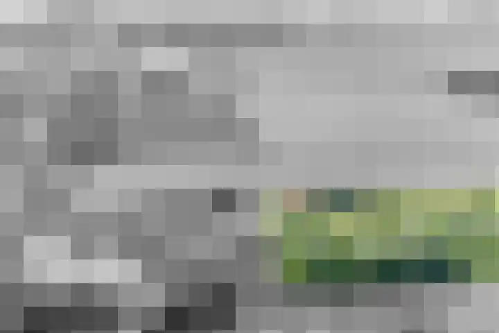 Grindweg 226 Scherpenzeel thumbnail 41