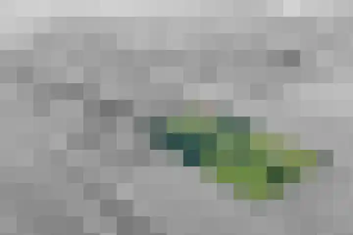 Grindweg 226 Scherpenzeel thumbnail 43