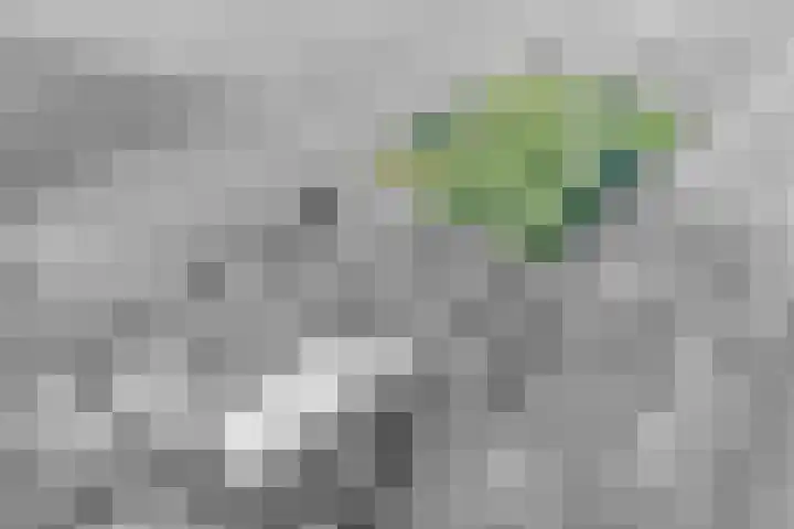 Grindweg 226 Scherpenzeel thumbnail 5