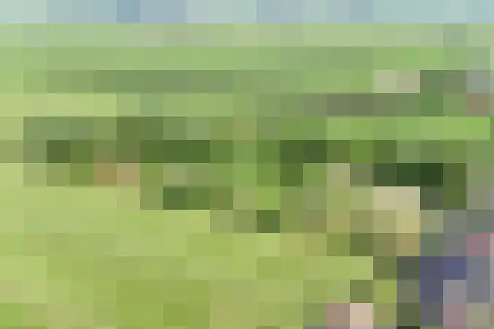 Grindweg 226 Scherpenzeel thumbnail 50