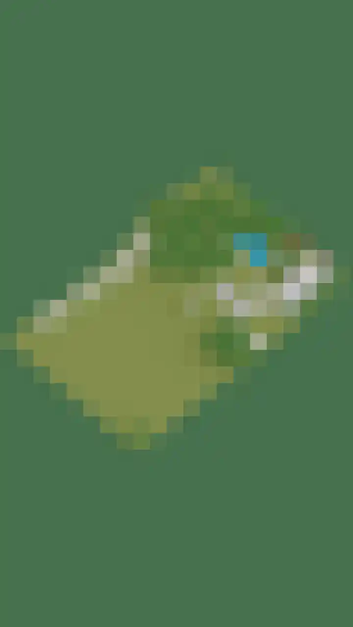 Grindweg 226 Scherpenzeel thumbnail 56