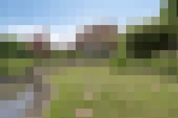 Grindweg 226 Scherpenzeel thumbnail 58