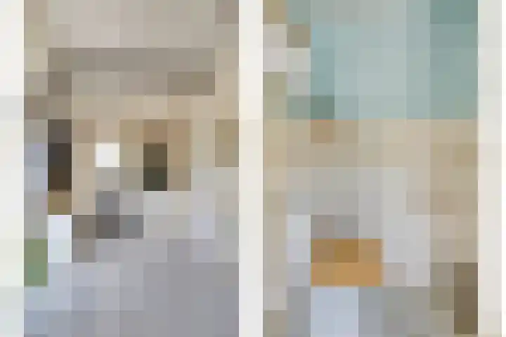 Grindweg 226 Scherpenzeel thumbnail 9