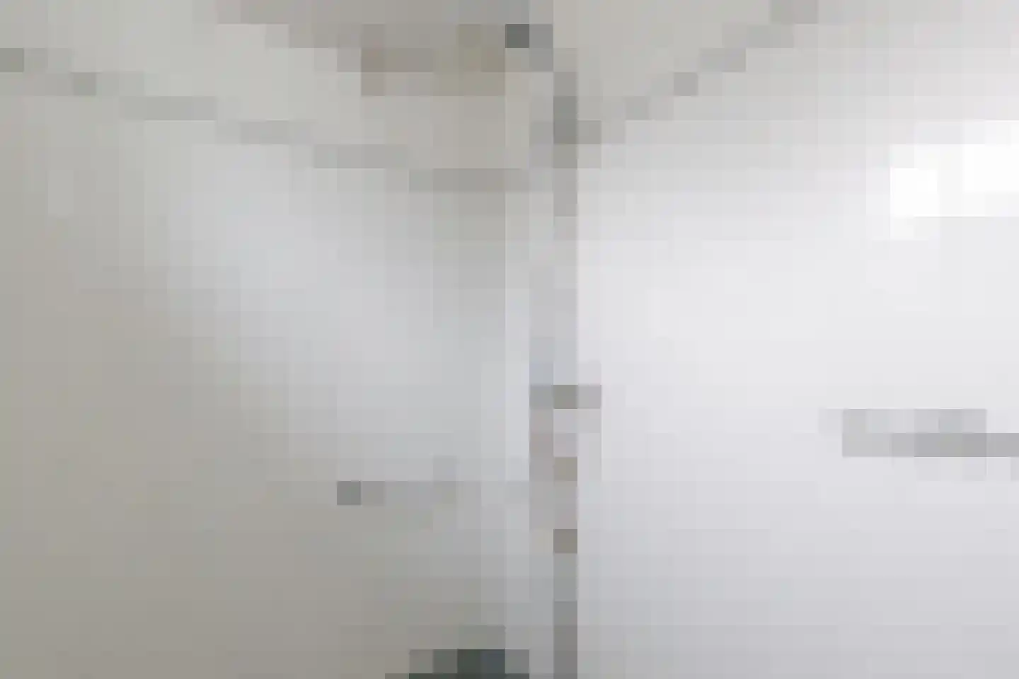 Grindweg 242 Scherpenzeel thumbnail 15