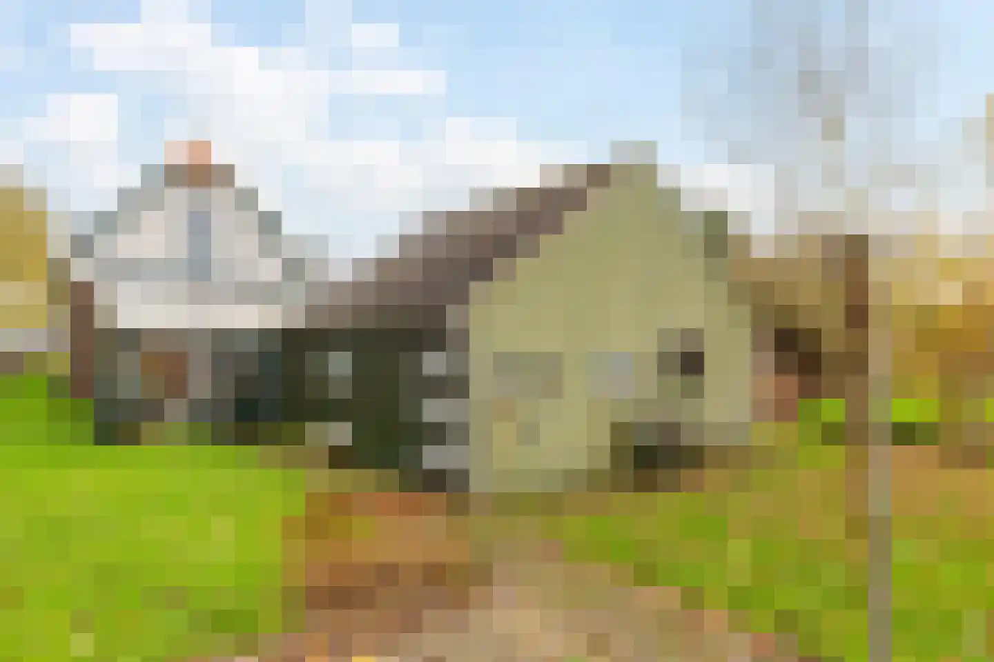 Grindweg 242 Scherpenzeel thumbnail 23