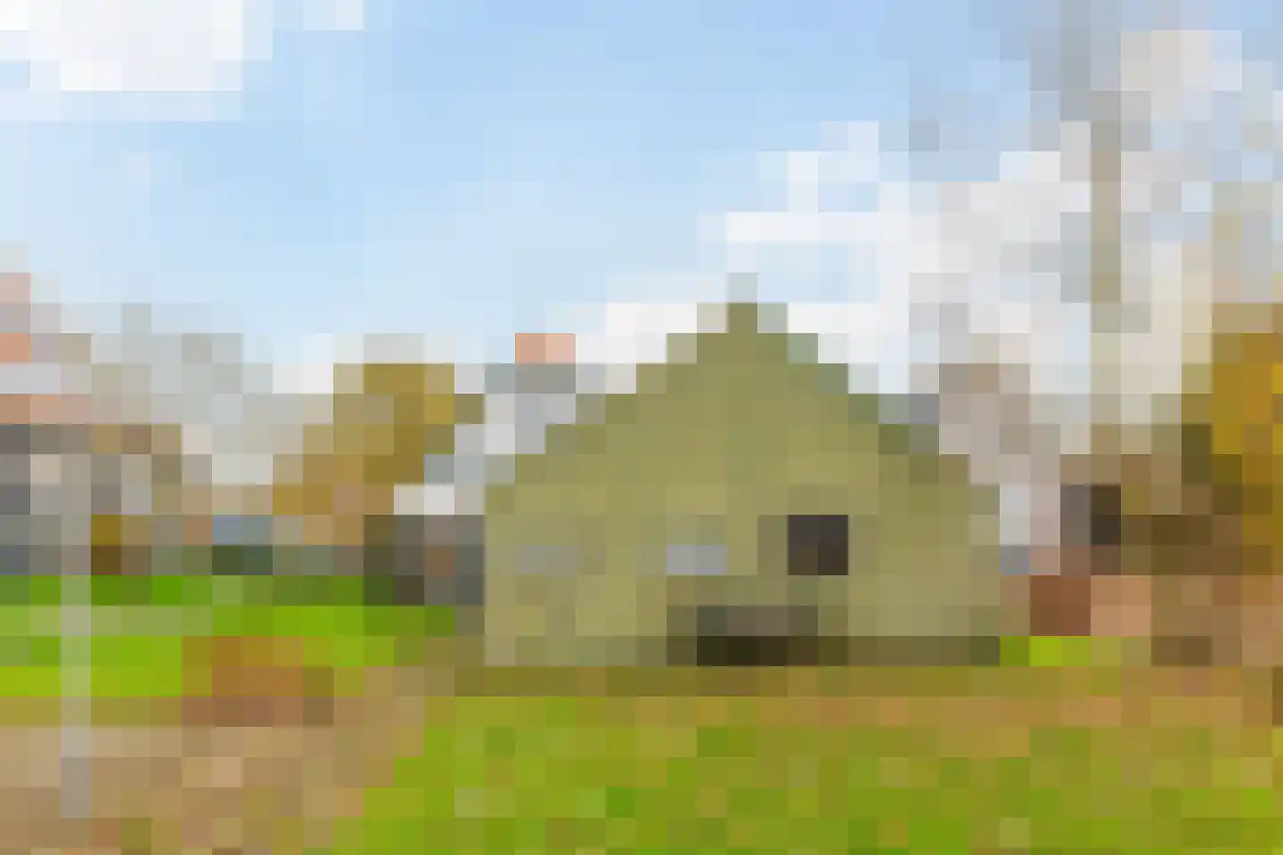 Grindweg 242 Scherpenzeel thumbnail 24
