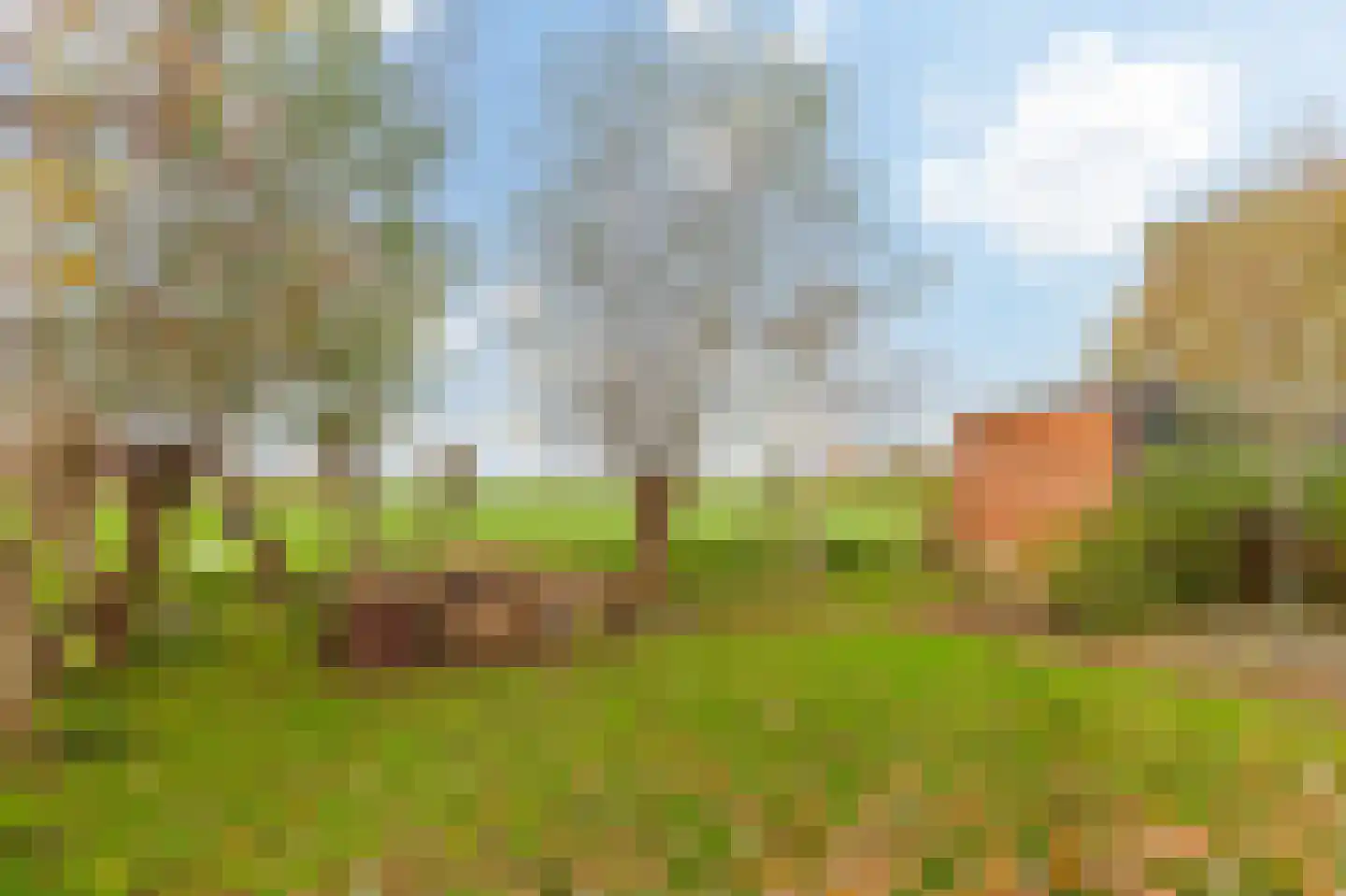 Grindweg 242 Scherpenzeel thumbnail 26