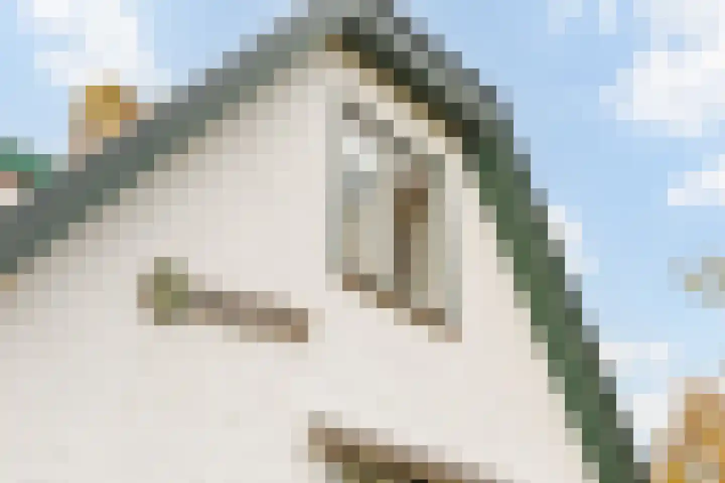 Grindweg 242 Scherpenzeel thumbnail 4