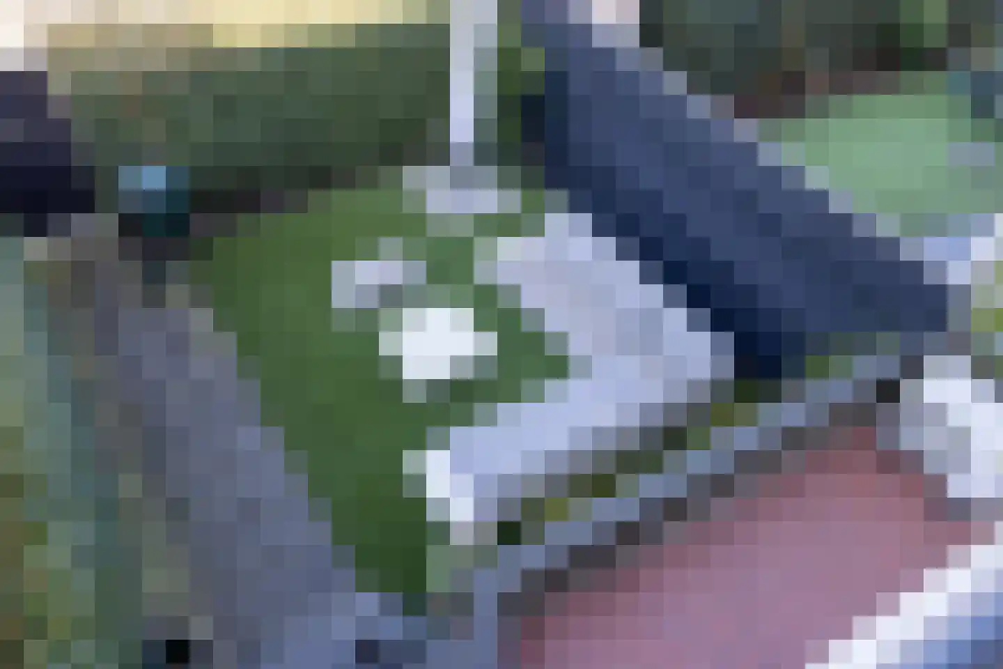 Grindweg 26 Rotterdam thumbnail 30