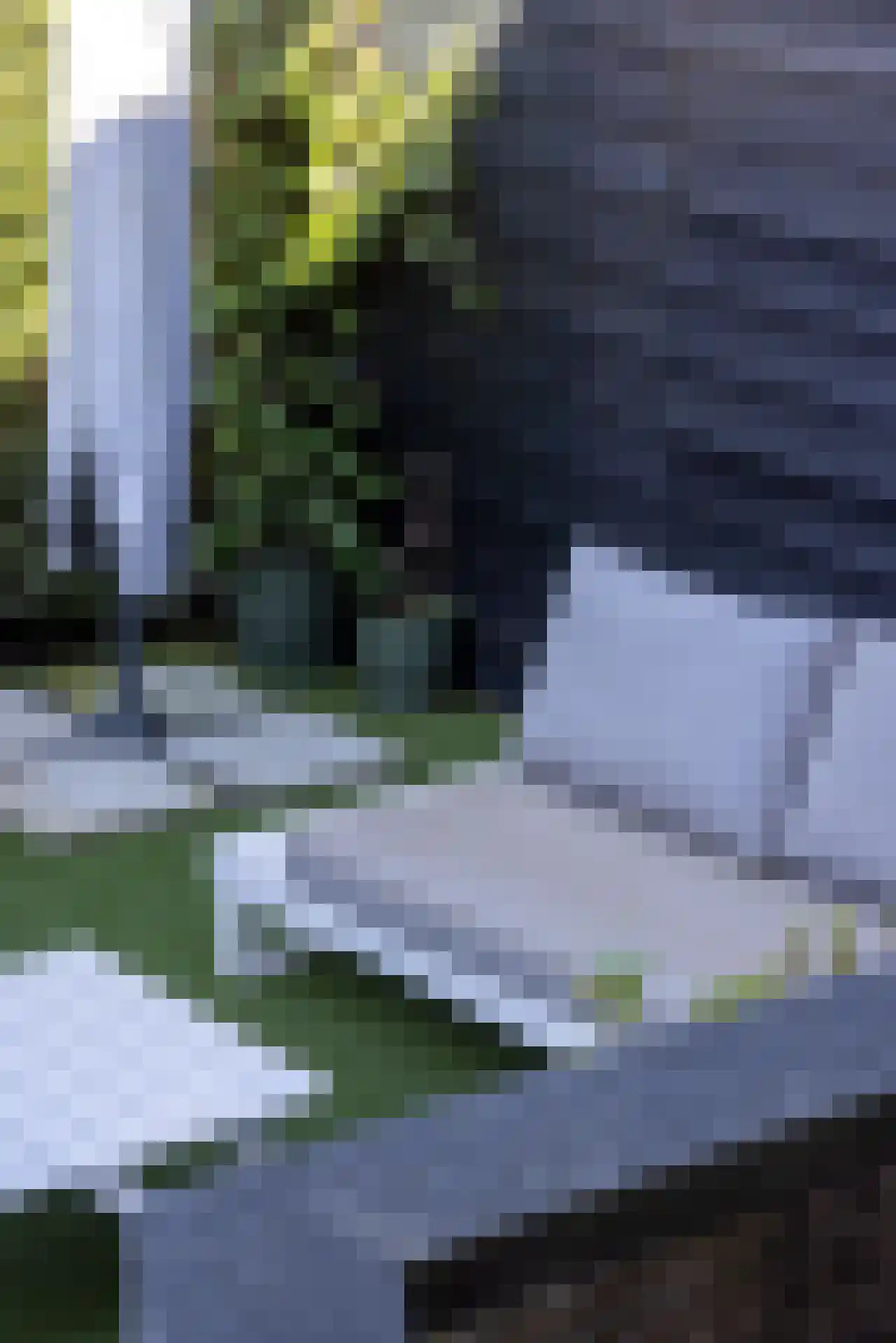 Grindweg 26 Rotterdam thumbnail 36