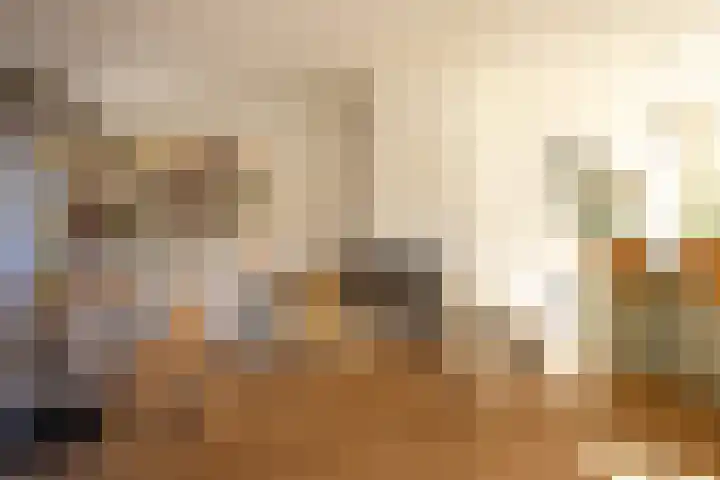 Grindweg 26 Rotterdam thumbnail 7