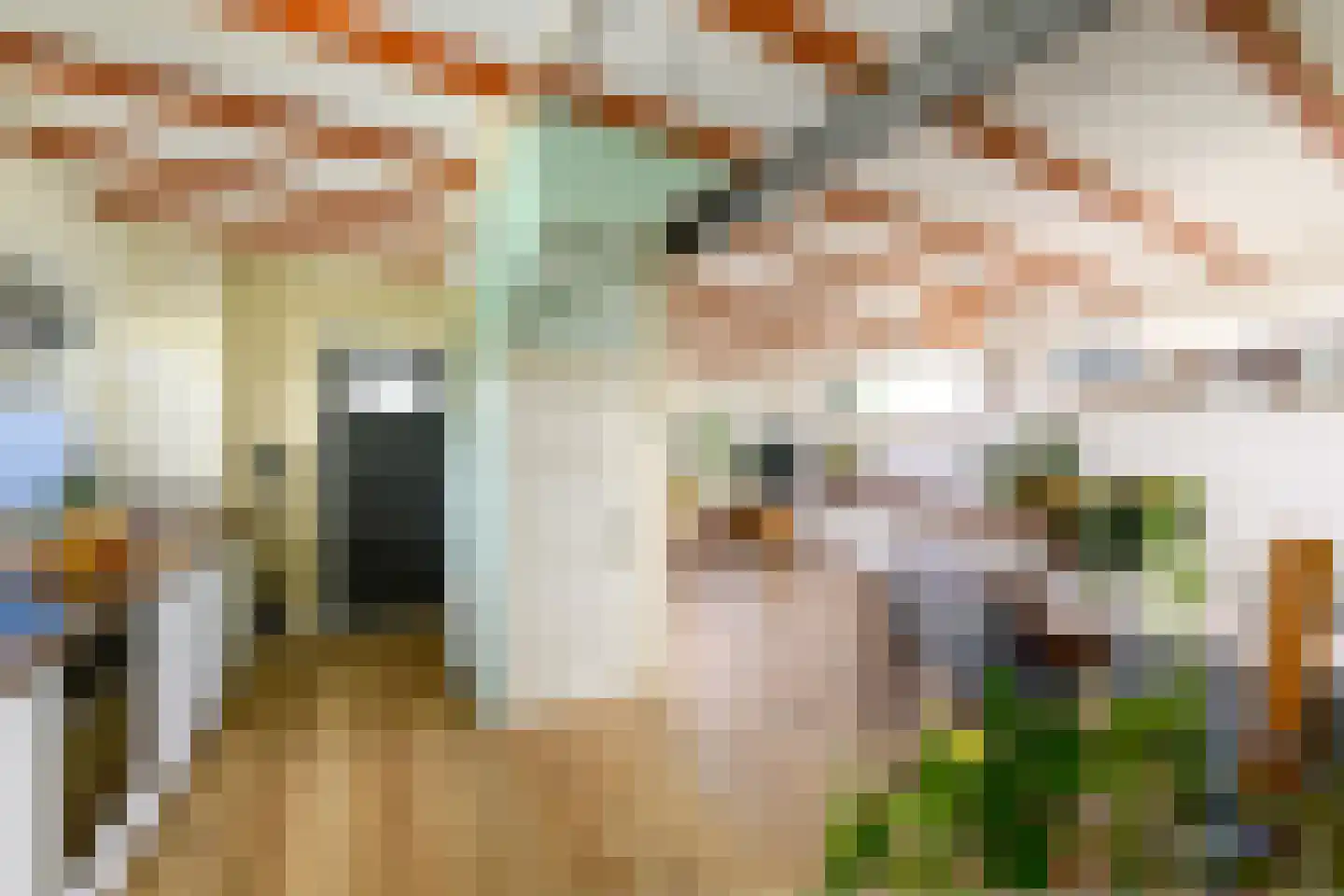 Grindweg 280 Scherpenzeel thumbnail 10