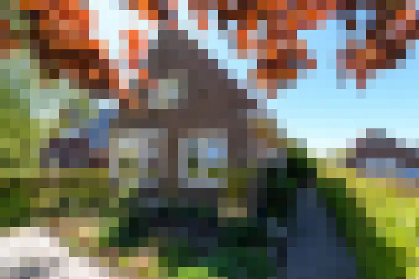 Grindweg 280 Scherpenzeel thumbnail 48