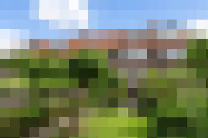 Grindweg 58 in Rotterdam