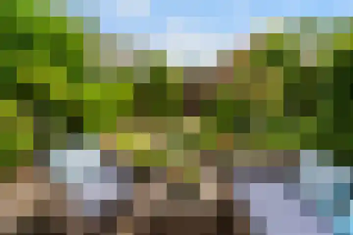 Grindweg 58 Rotterdam thumbnail 31