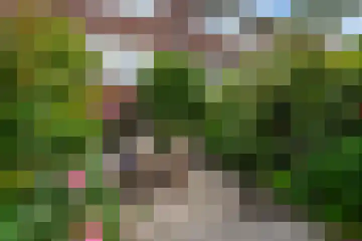 Grindweg 58 Rotterdam thumbnail 6