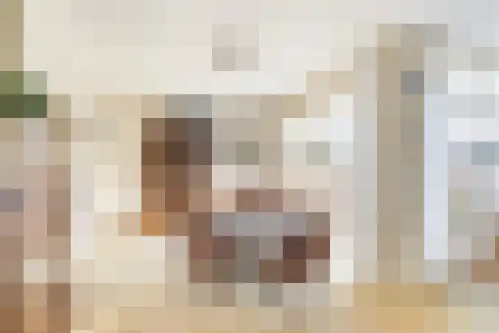 Grindweg 6 Tholen thumbnail 10