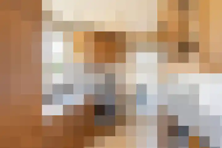 Grindweg 6 Tholen thumbnail 14