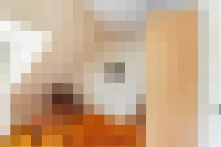 Grindweg 6 Tholen thumbnail 24