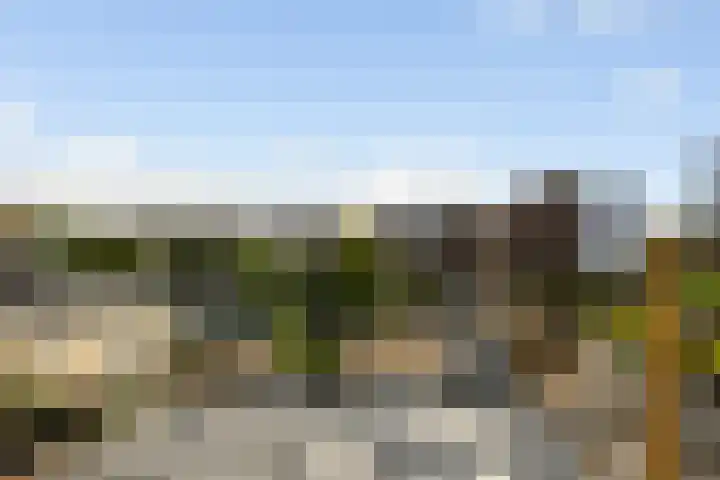 Grindweg 6 Tholen thumbnail 30