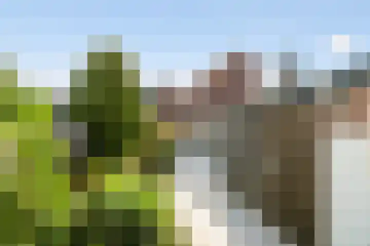 Grindweg 6 Tholen thumbnail 31