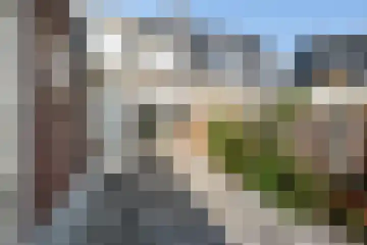 Grindweg 6 Tholen thumbnail 32