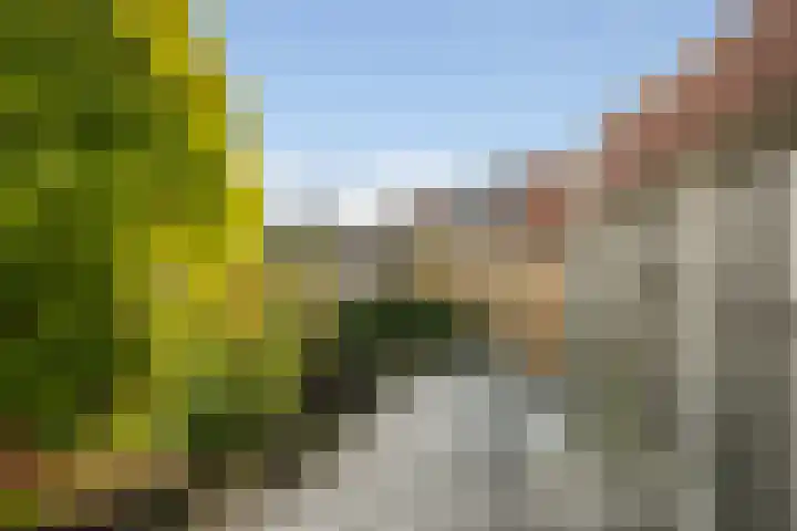 Grindweg 6 Tholen thumbnail 33