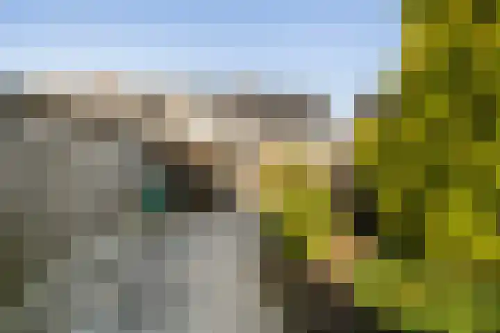 Grindweg 6 Tholen thumbnail 34