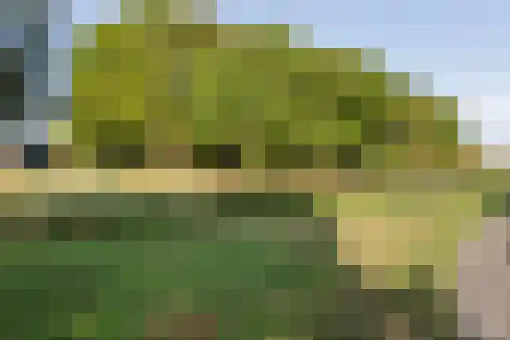 Grindweg 6 Tholen thumbnail 35