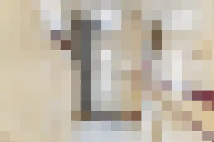 Grindweg 6 Tholen thumbnail 7