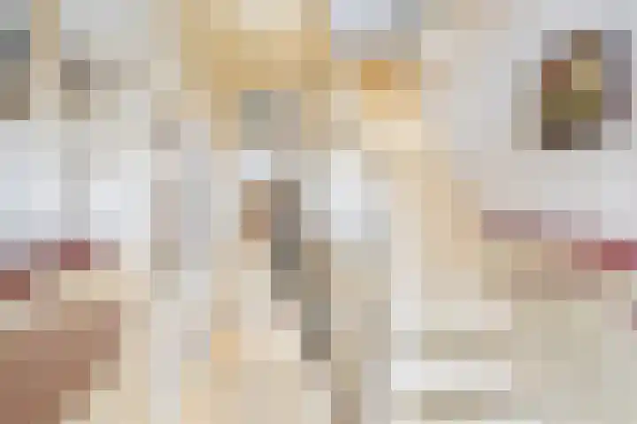 Grindweg 6 Tholen thumbnail 8